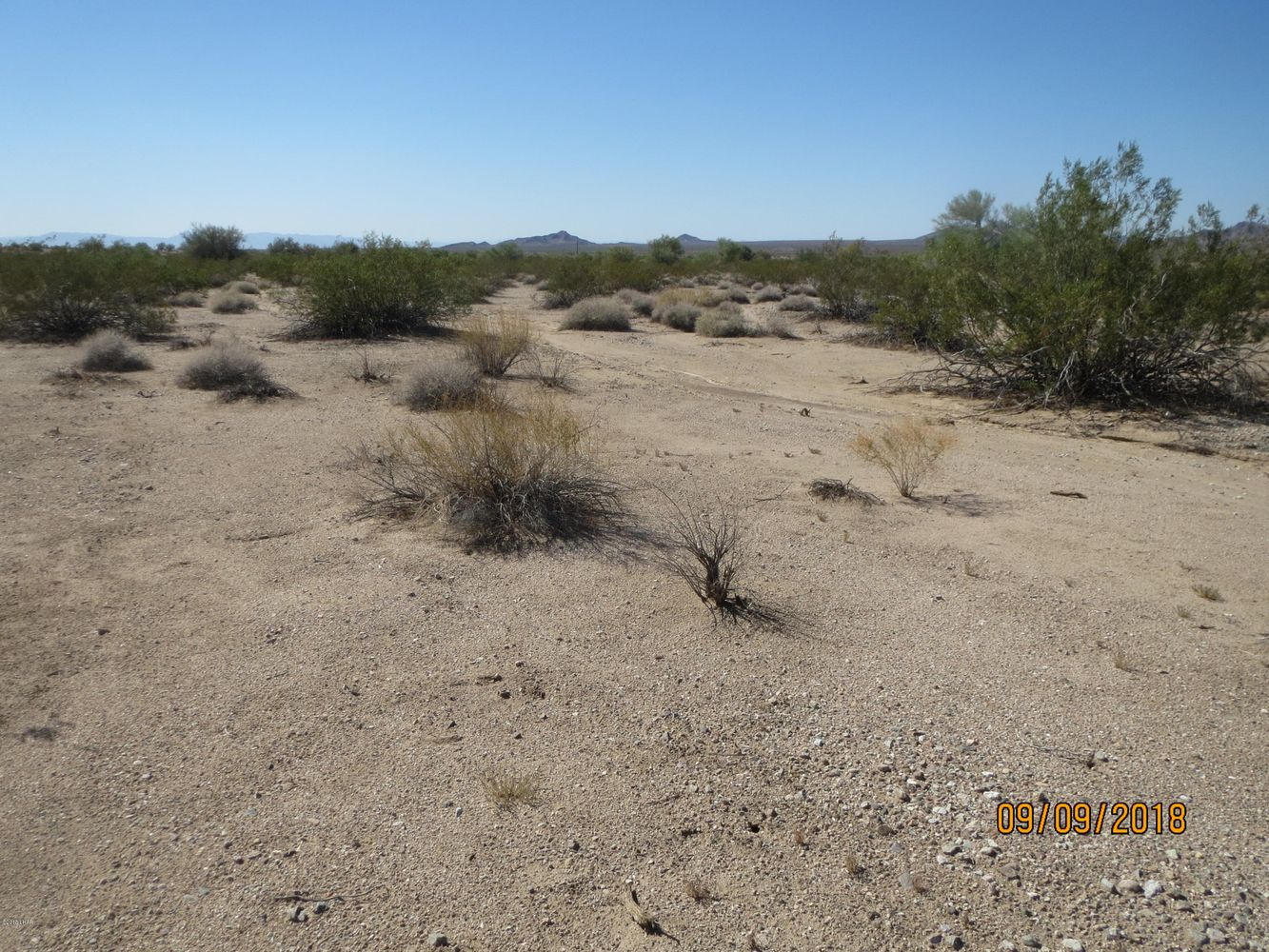Lot 36A& Douglas Ln: Douglas Ln, Yucca, AZ 86438